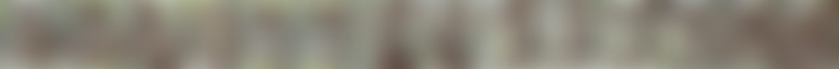 VIXEN_100819_1080P.mp4 screencaps